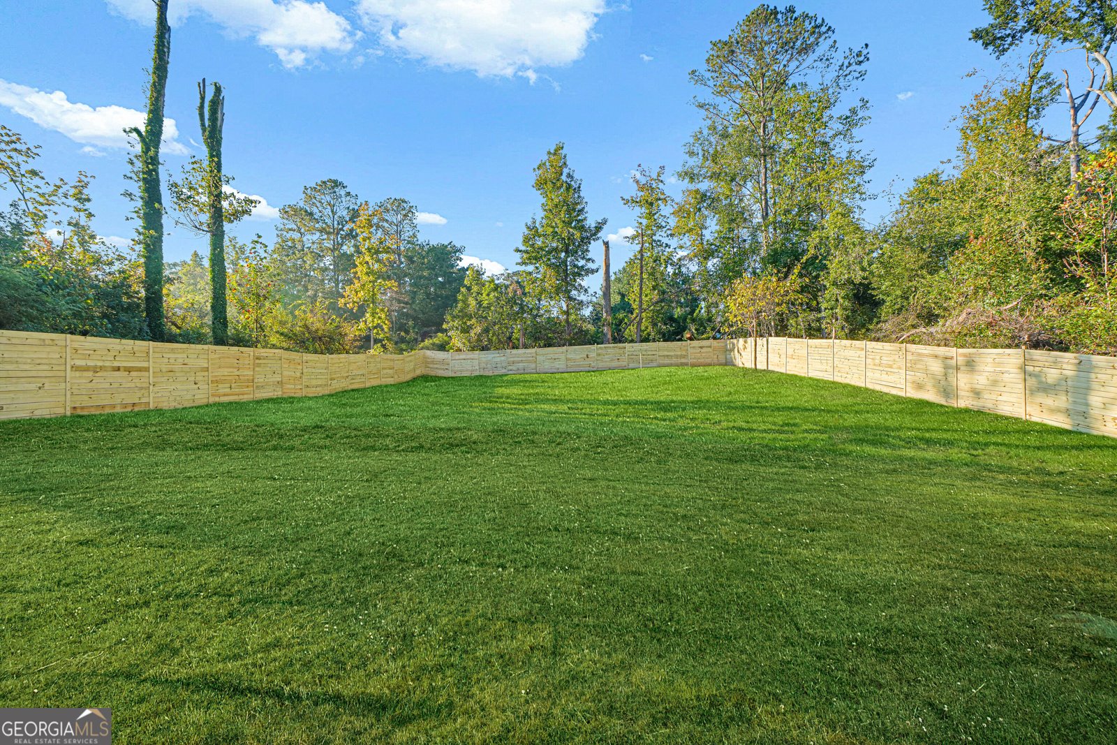 1086 West Adrian Circle Conyers - Photo 29