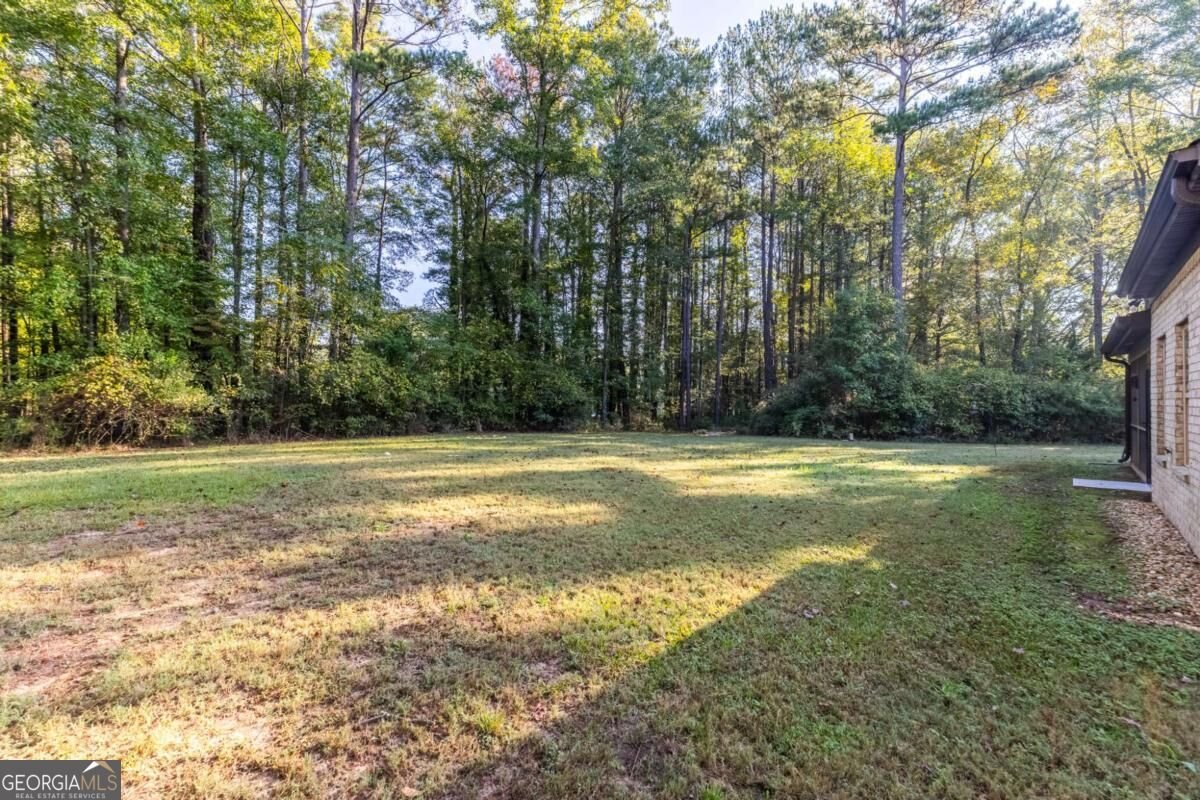 279 Mcgarity Drive Mcdonough - Photo 56