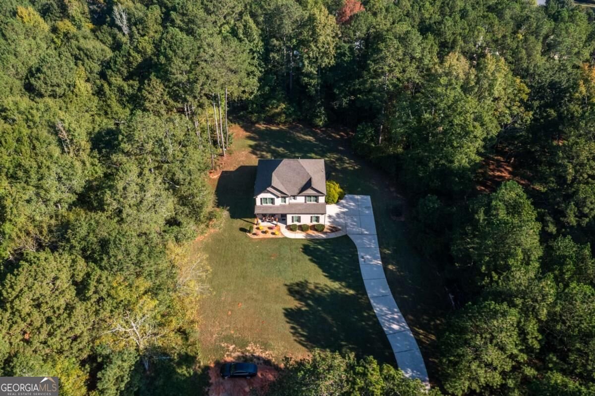 279 Mcgarity Drive Mcdonough - Photo 58
