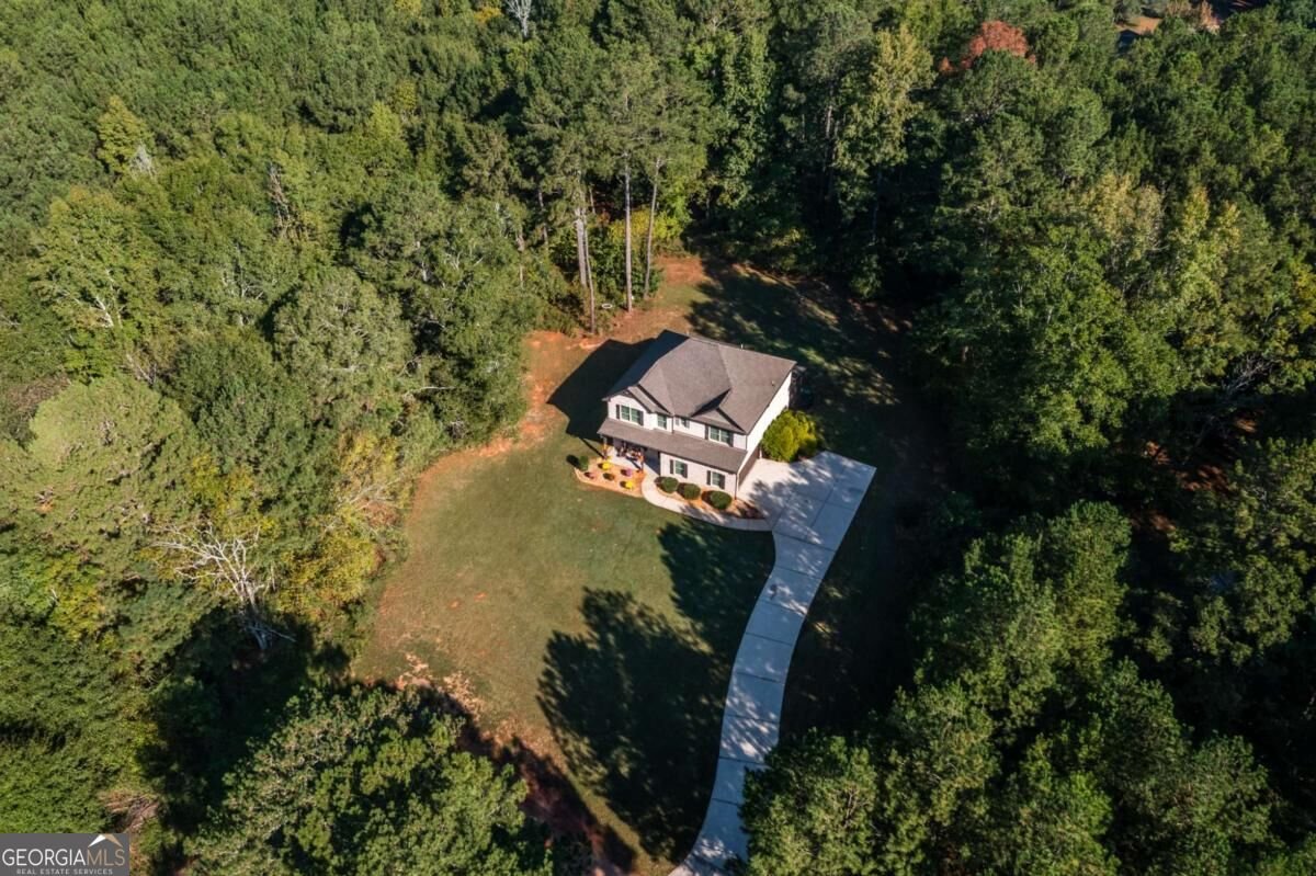 279 Mcgarity Drive Mcdonough - Photo 59