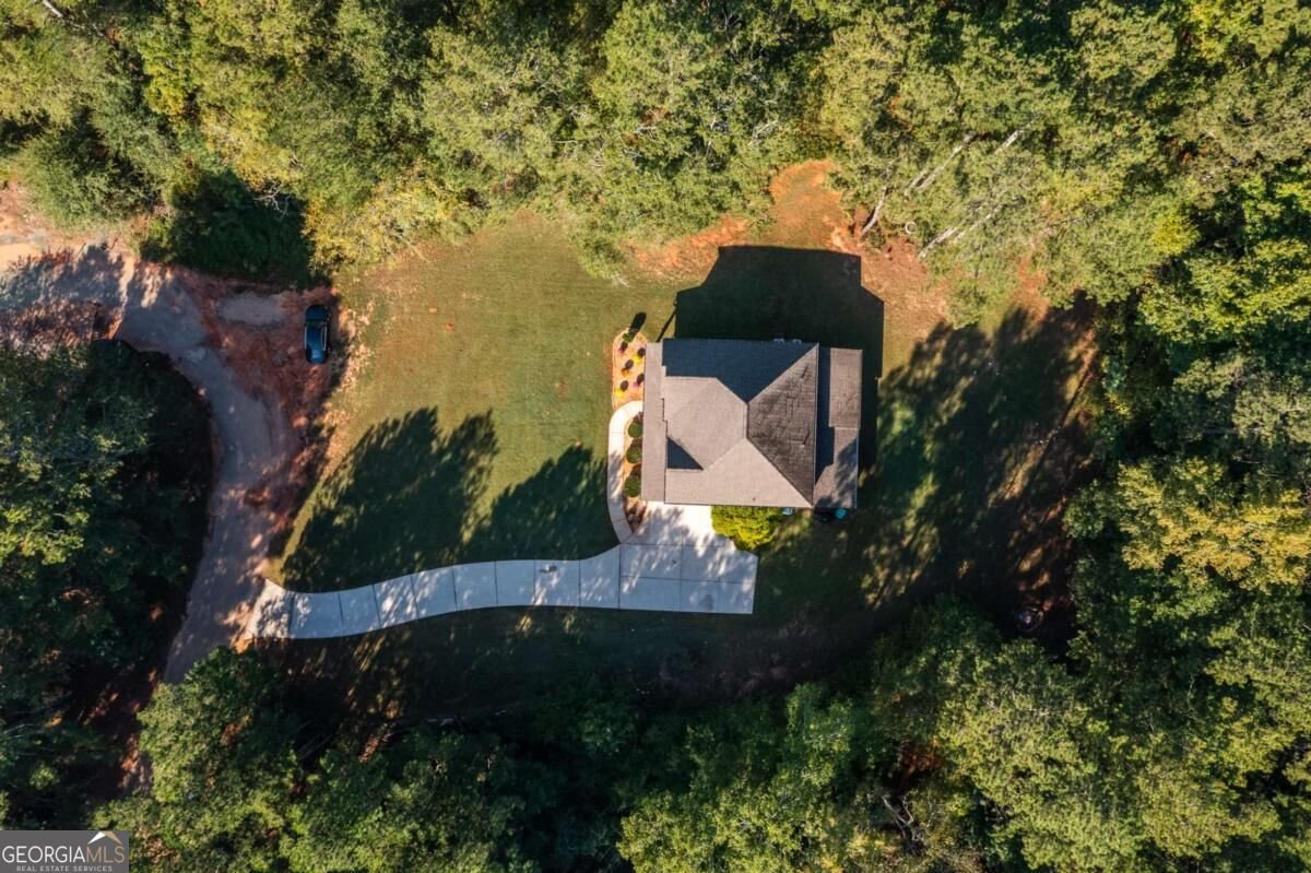 279 Mcgarity Drive Mcdonough - Photo 60
