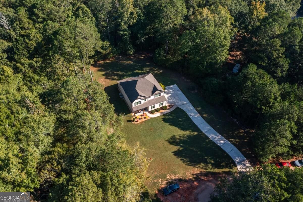 279 Mcgarity Drive Mcdonough - Photo 61