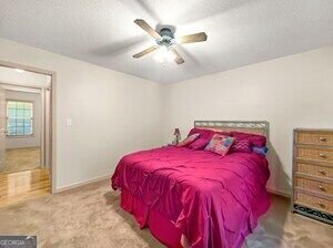 1048 Birdseye Vw LOCUST GROVE - Photo 53