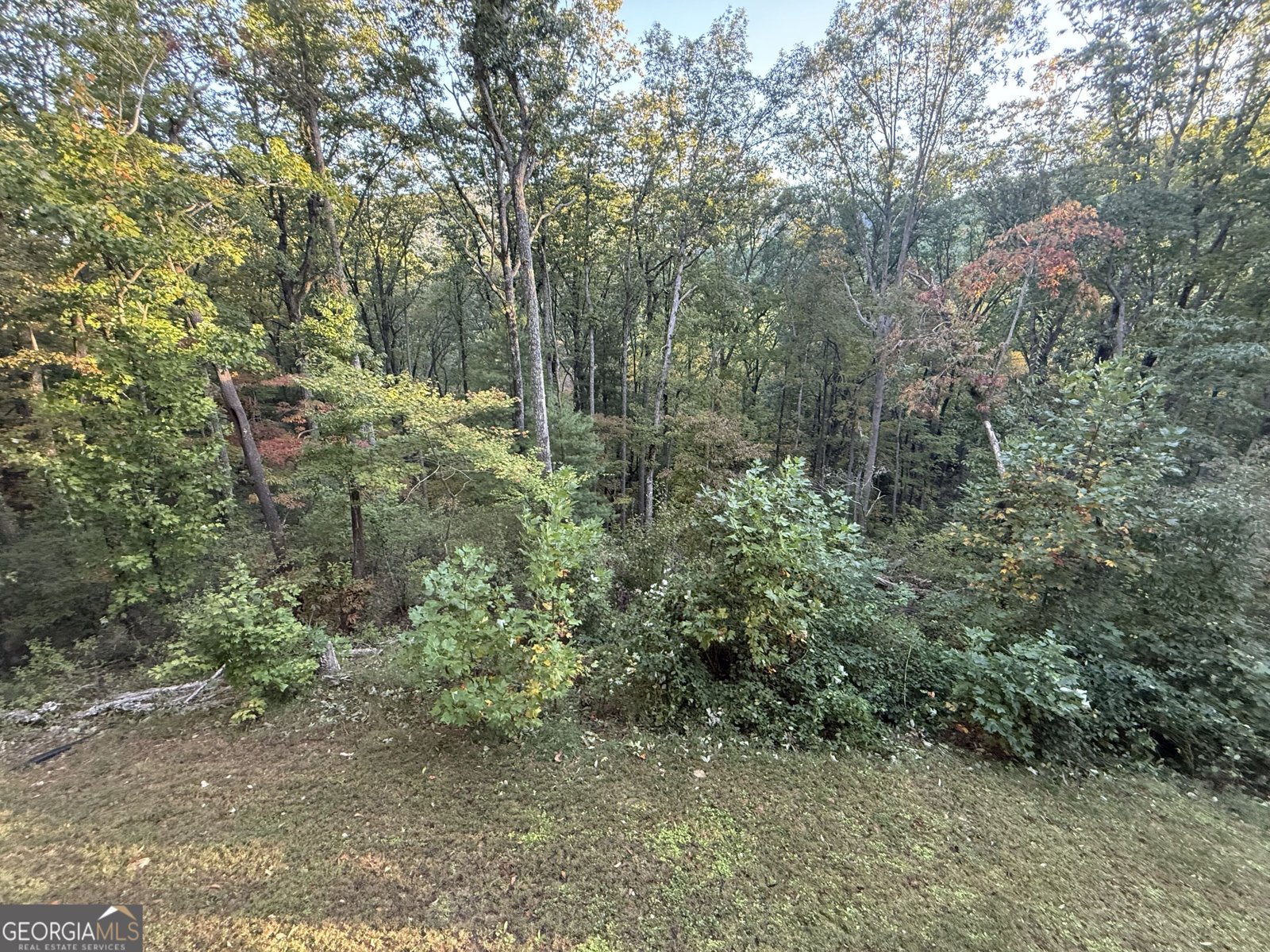 2856 Oakey Mountain Road Clarkesville - Photo 41