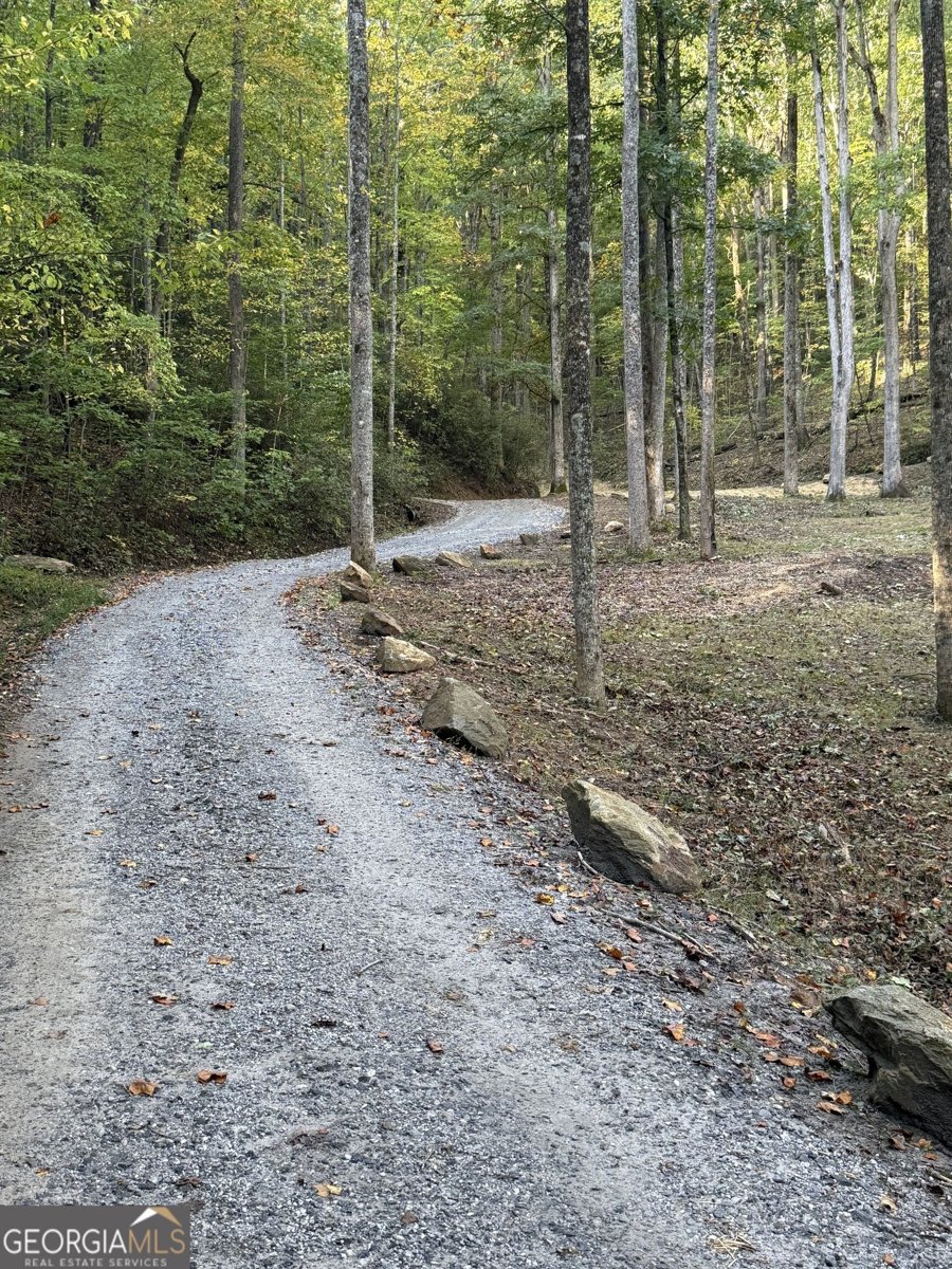 2856 Oakey Mountain Road Clarkesville - Photo 51