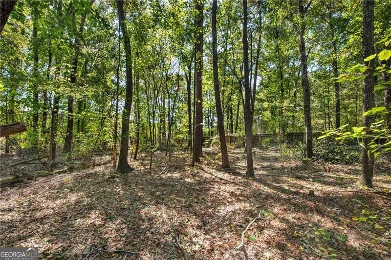 4645 Walt Court Cumming - Photo 32