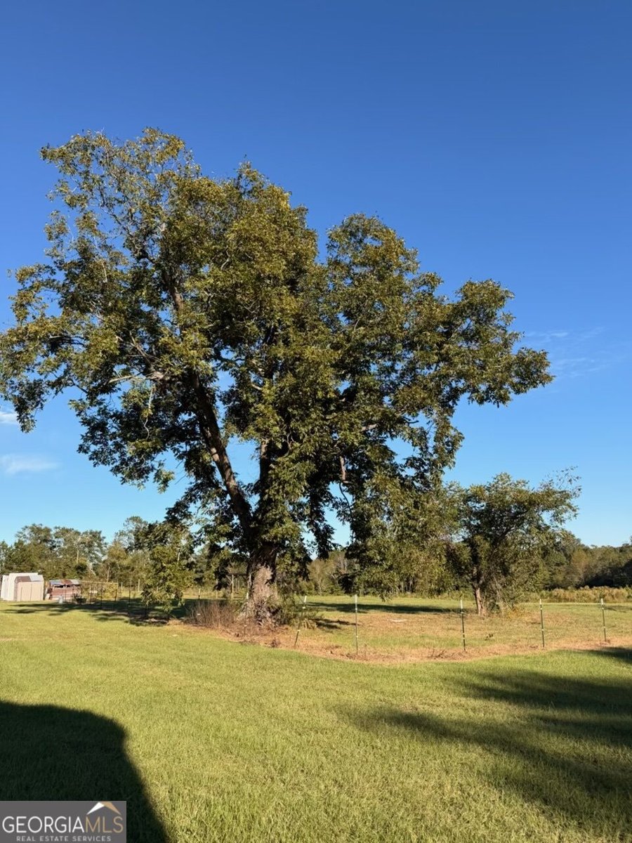 3856 Ga Highway 231 Harrison - Photo 20