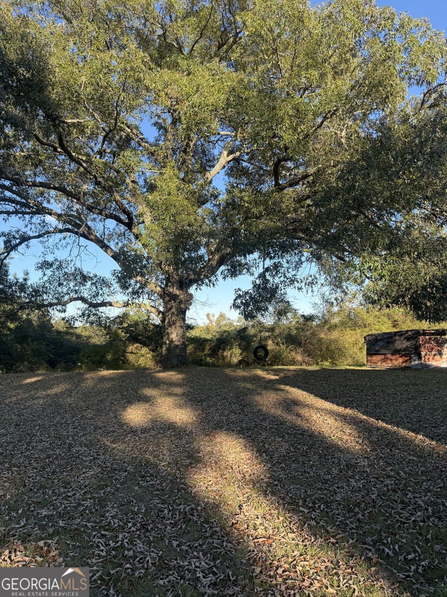 3856 Ga Highway 231 Harrison - Photo 27