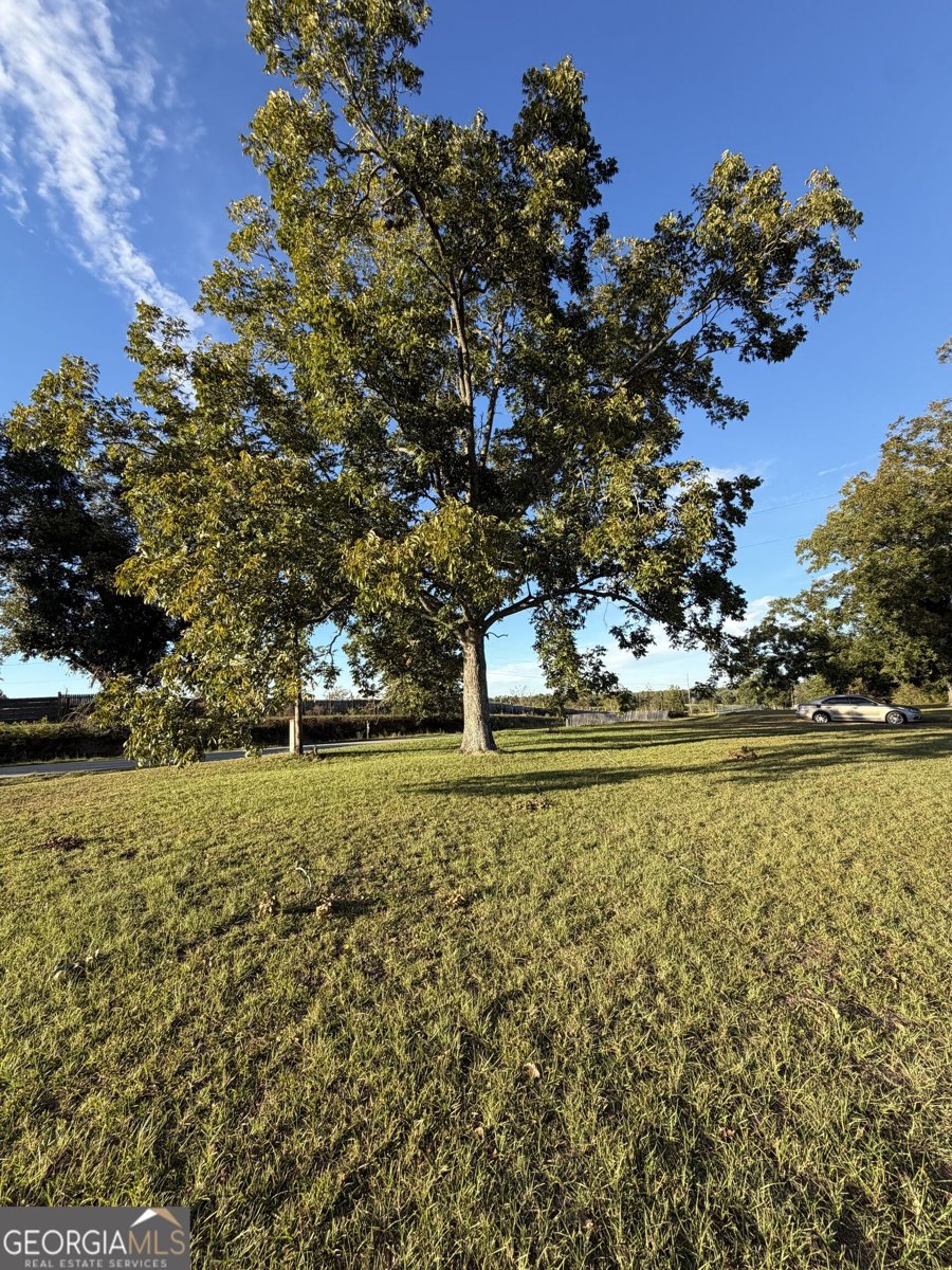 3856 Ga Highway 231 Harrison - Photo 28