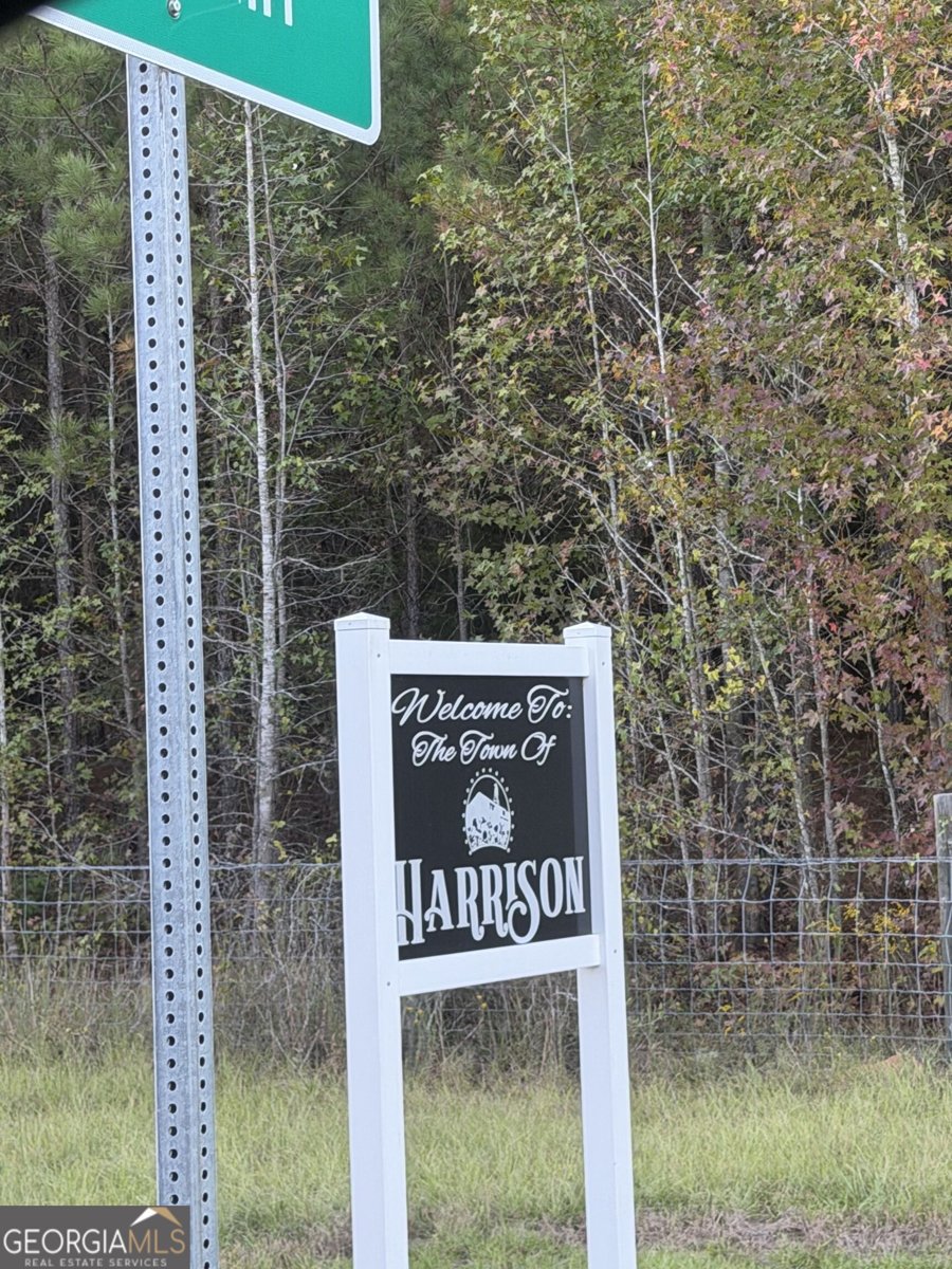 3856 Ga Highway 231 Harrison - Photo 33