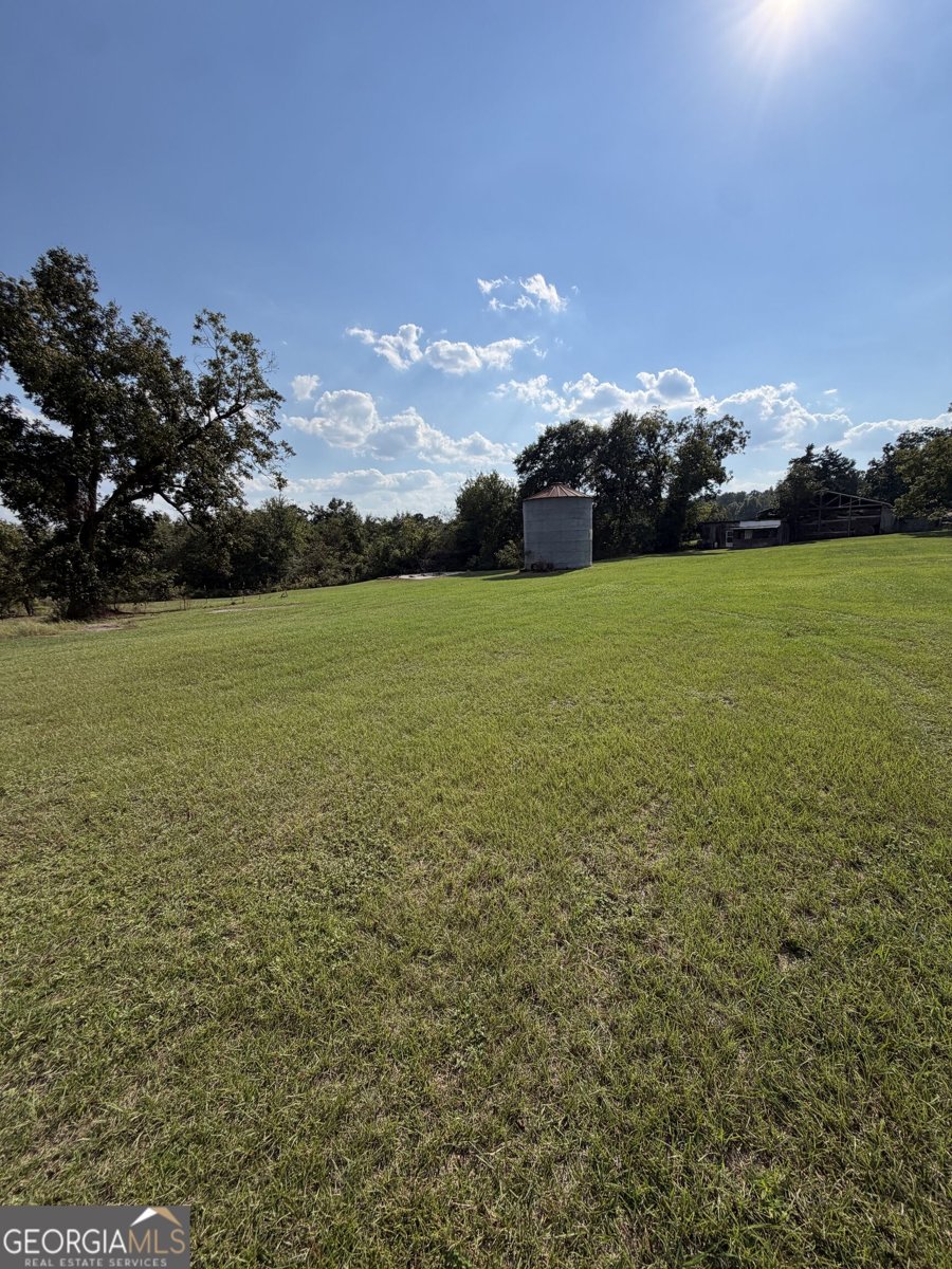 3856 Ga Highway 231 Harrison - Photo 8