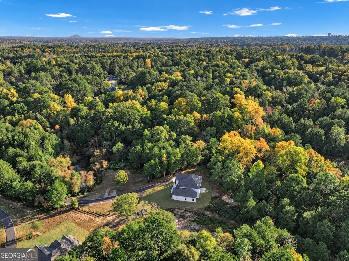 5137 Maroney Mill Road Douglasville - Photo 37