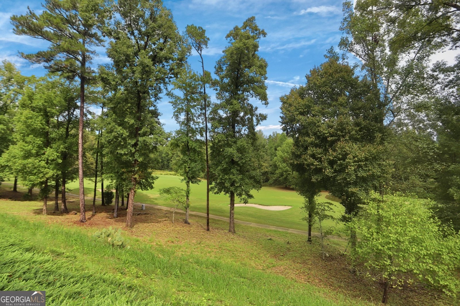 443 Tallulah Drive Griffin - Photo 43