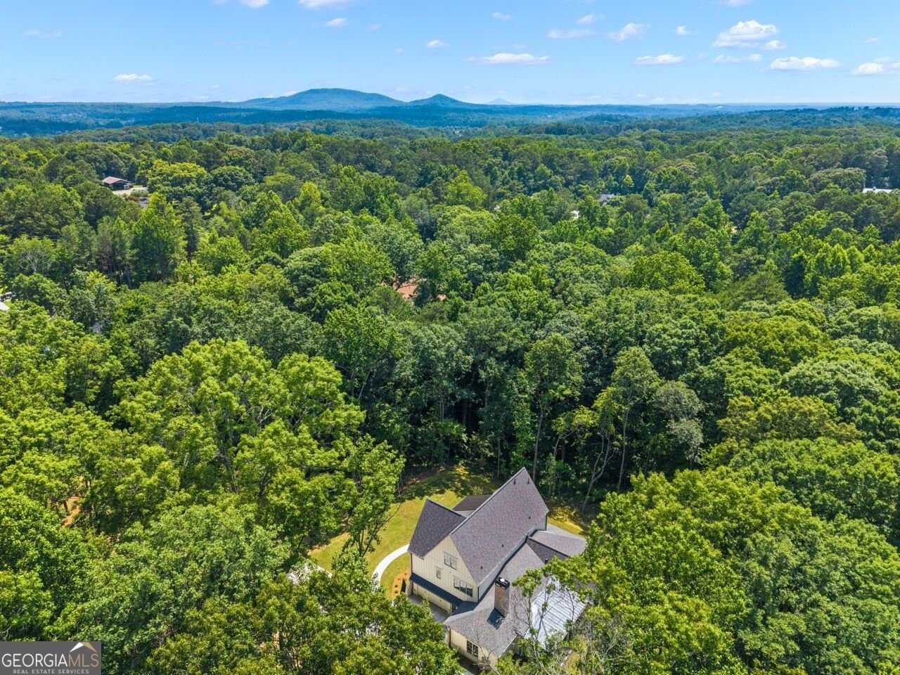 879 Arnold Mill Road Woodstock - Photo 63
