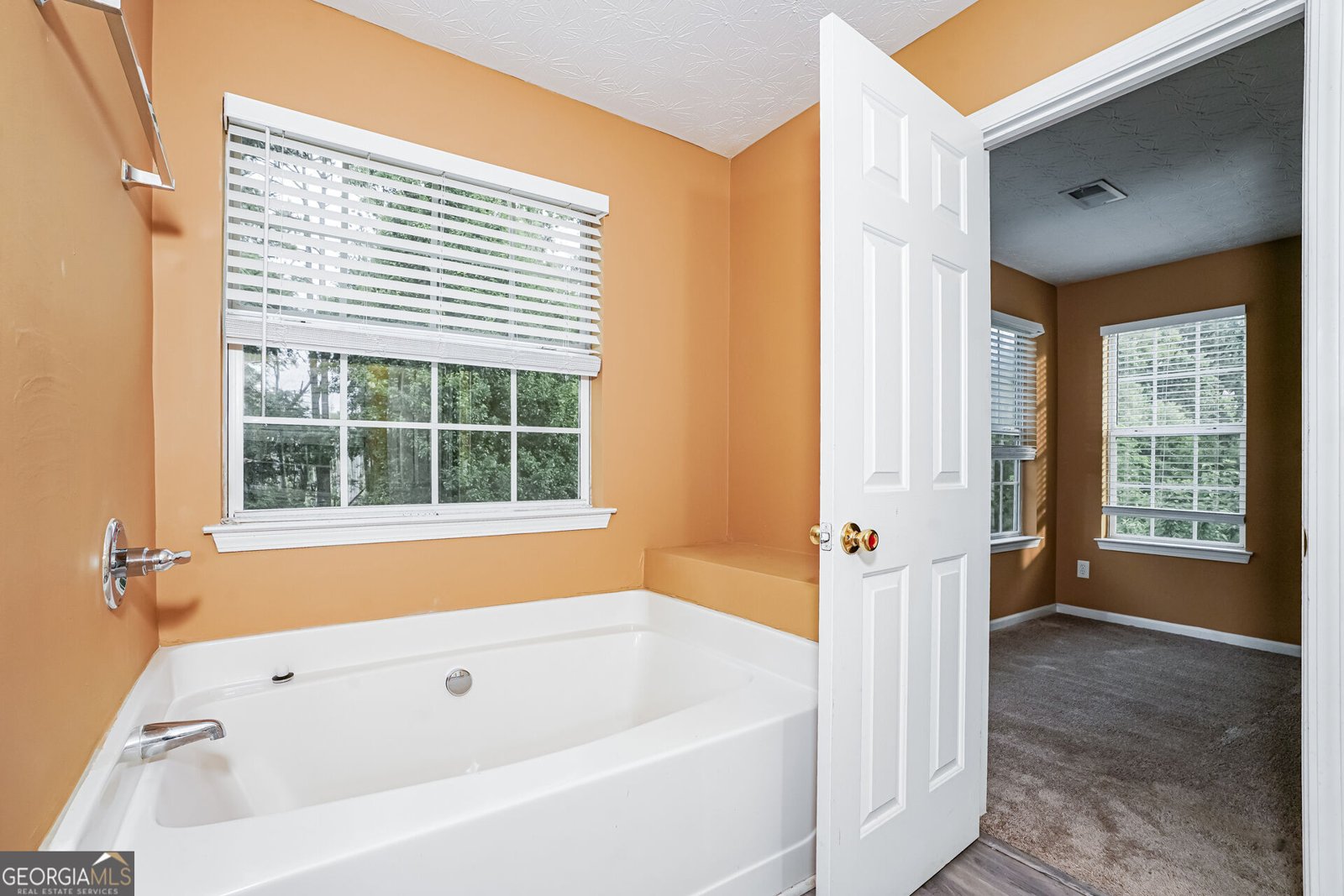 1009 Lear Drive Locust Grove - Photo 12