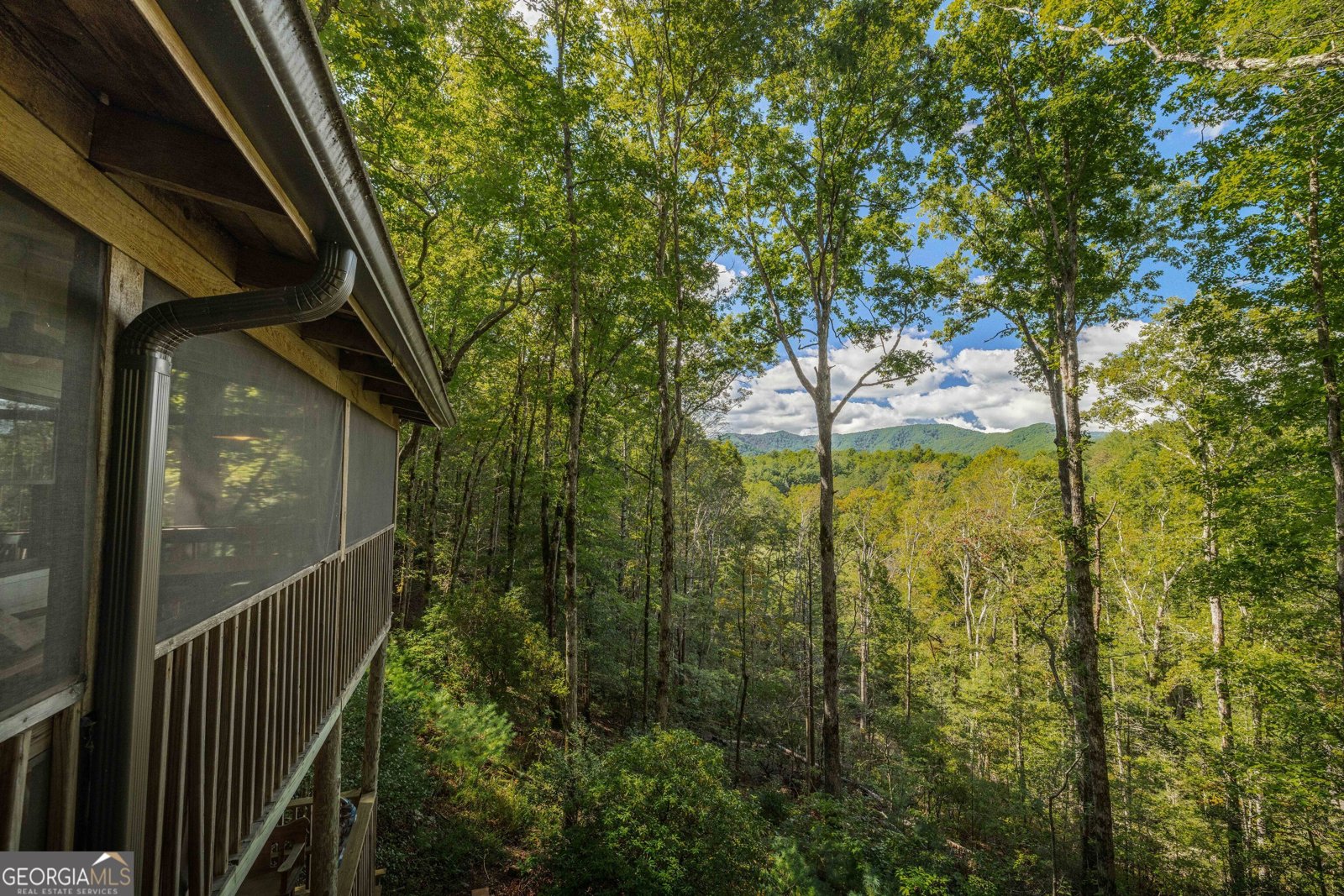 808 Mill Stone Mountain Lane Blue Ridge - Photo 30
