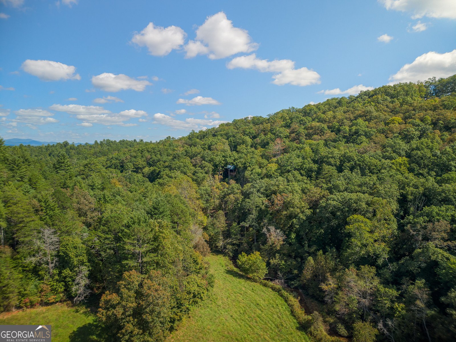 808 Mill Stone Mountain Lane Blue Ridge - Photo 44