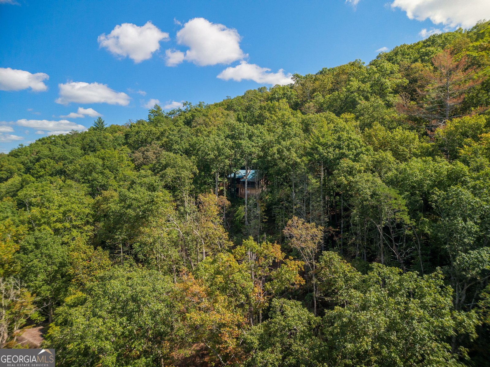 808 Mill Stone Mountain Lane Blue Ridge - Photo 6