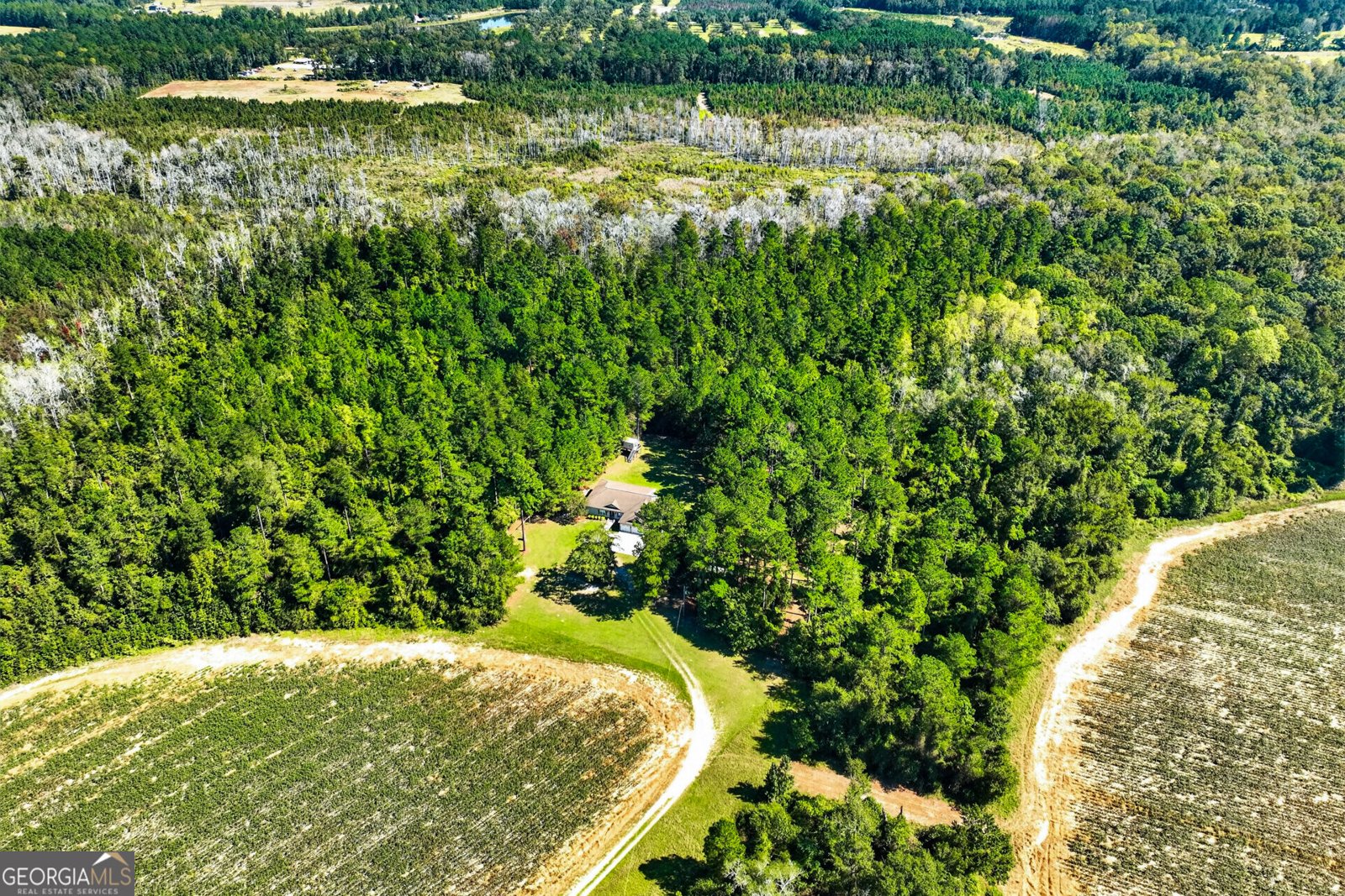 97 Jeni Wright Lane Brooklet - Photo 77