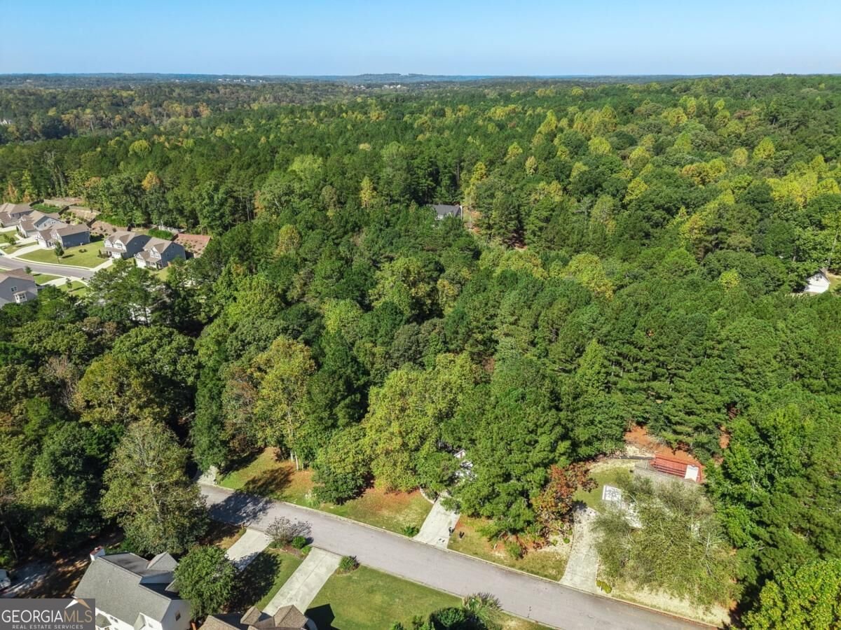 2072 Amberly Crossing Lane Dacula - Photo 48