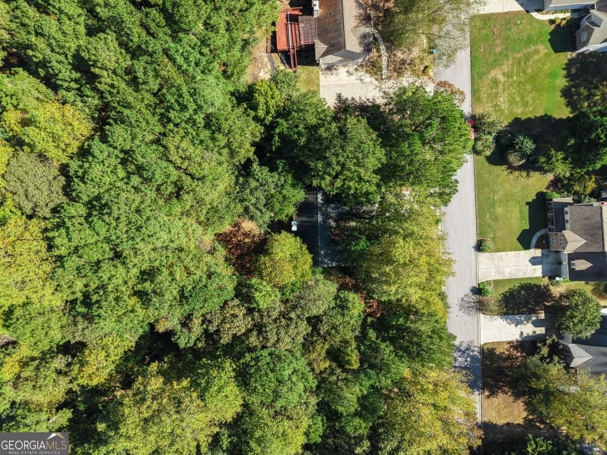 2072 Amberly Crossing Lane Dacula - Photo 49