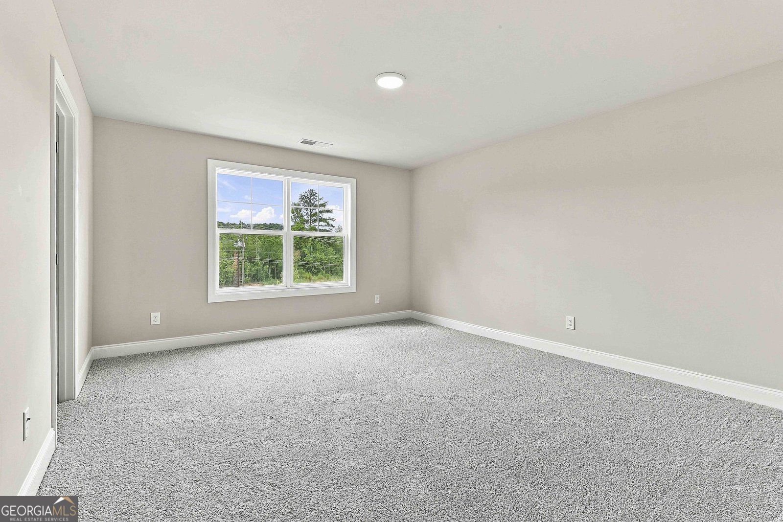 917 Stallings Road Senoia - Photo 28
