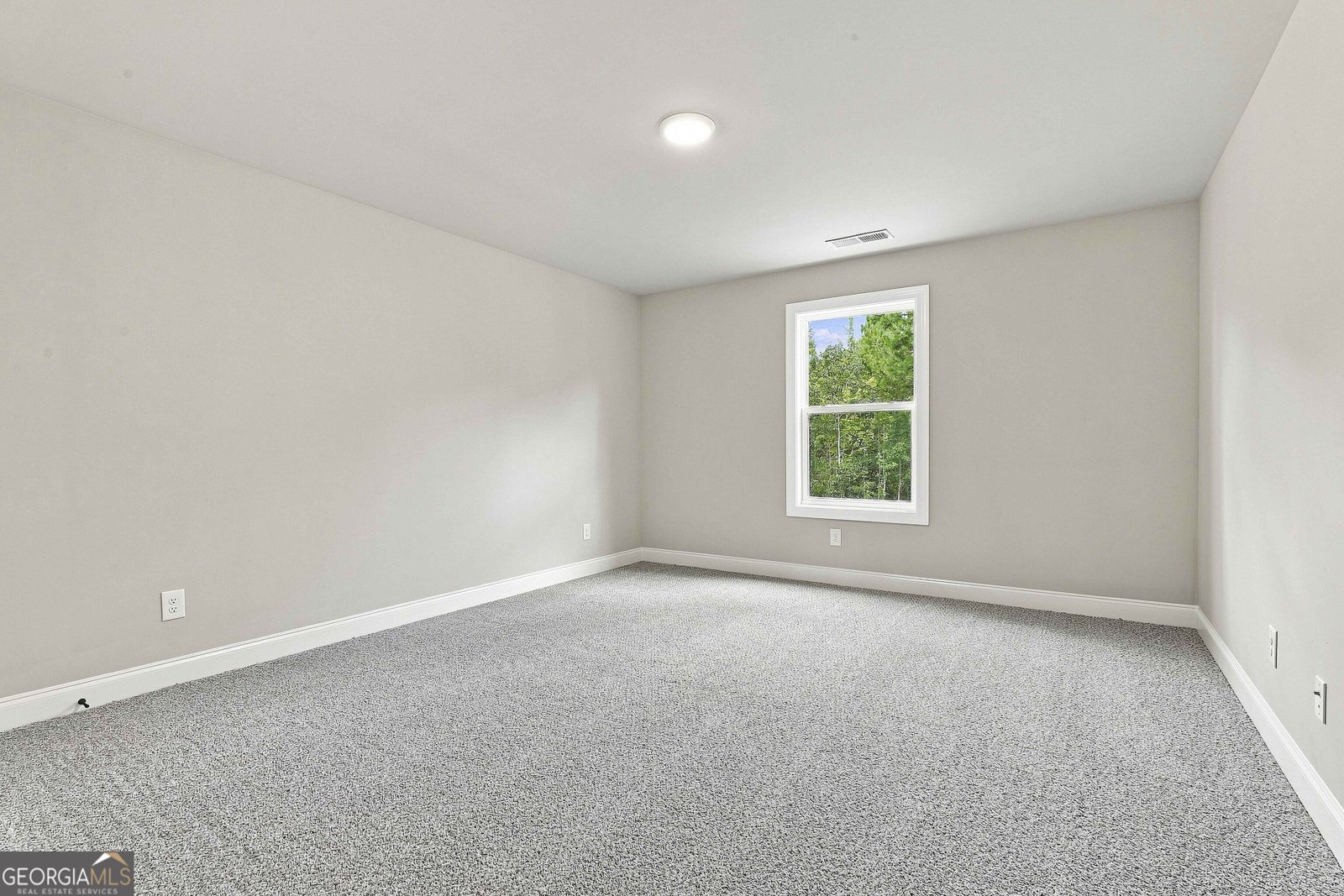 917 Stallings Road Senoia - Photo 30