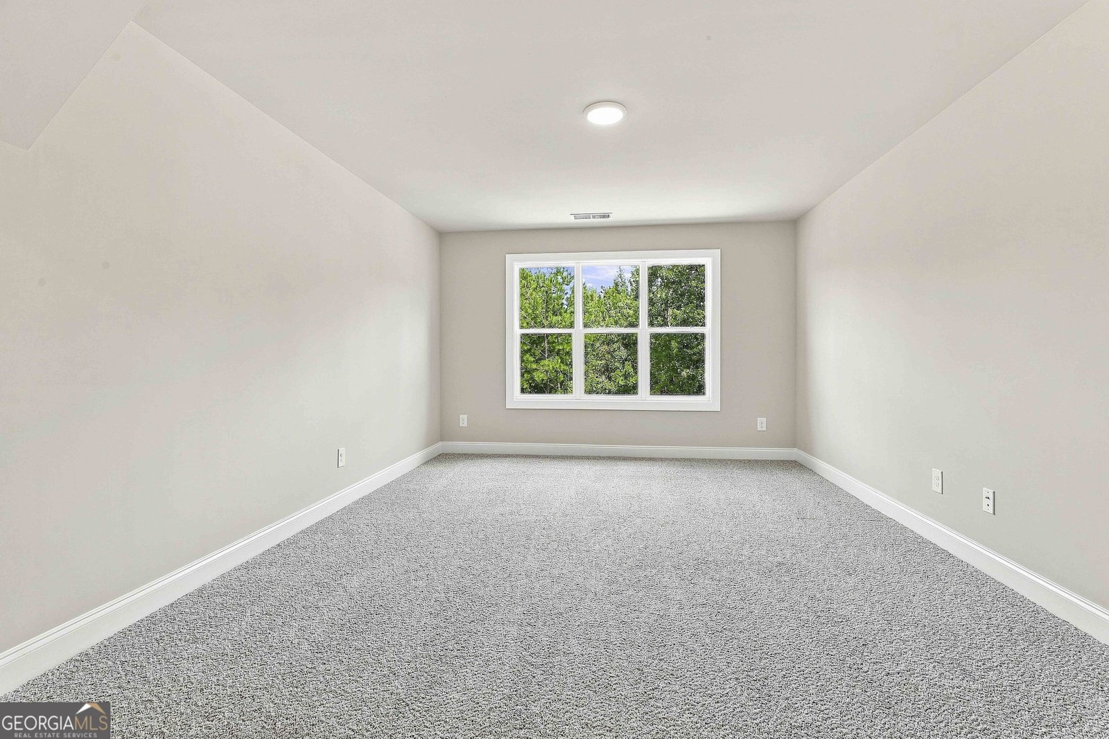 917 Stallings Road Senoia - Photo 38