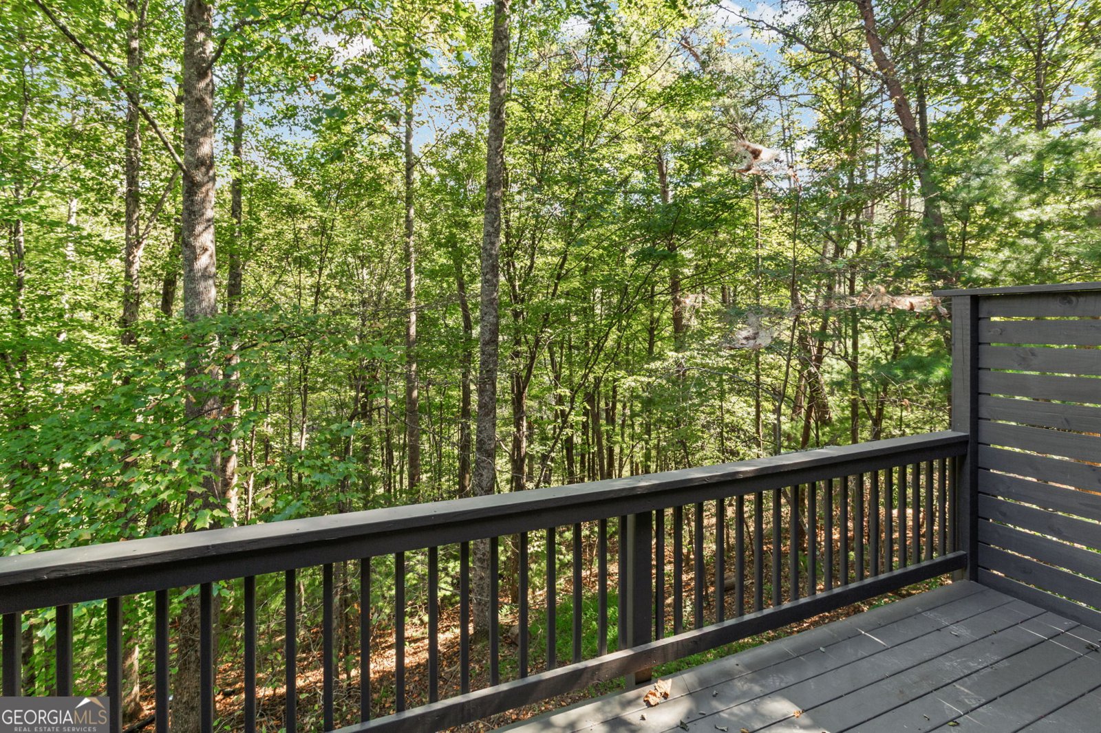 90 Clubhouse Court Ellijay - Photo 33