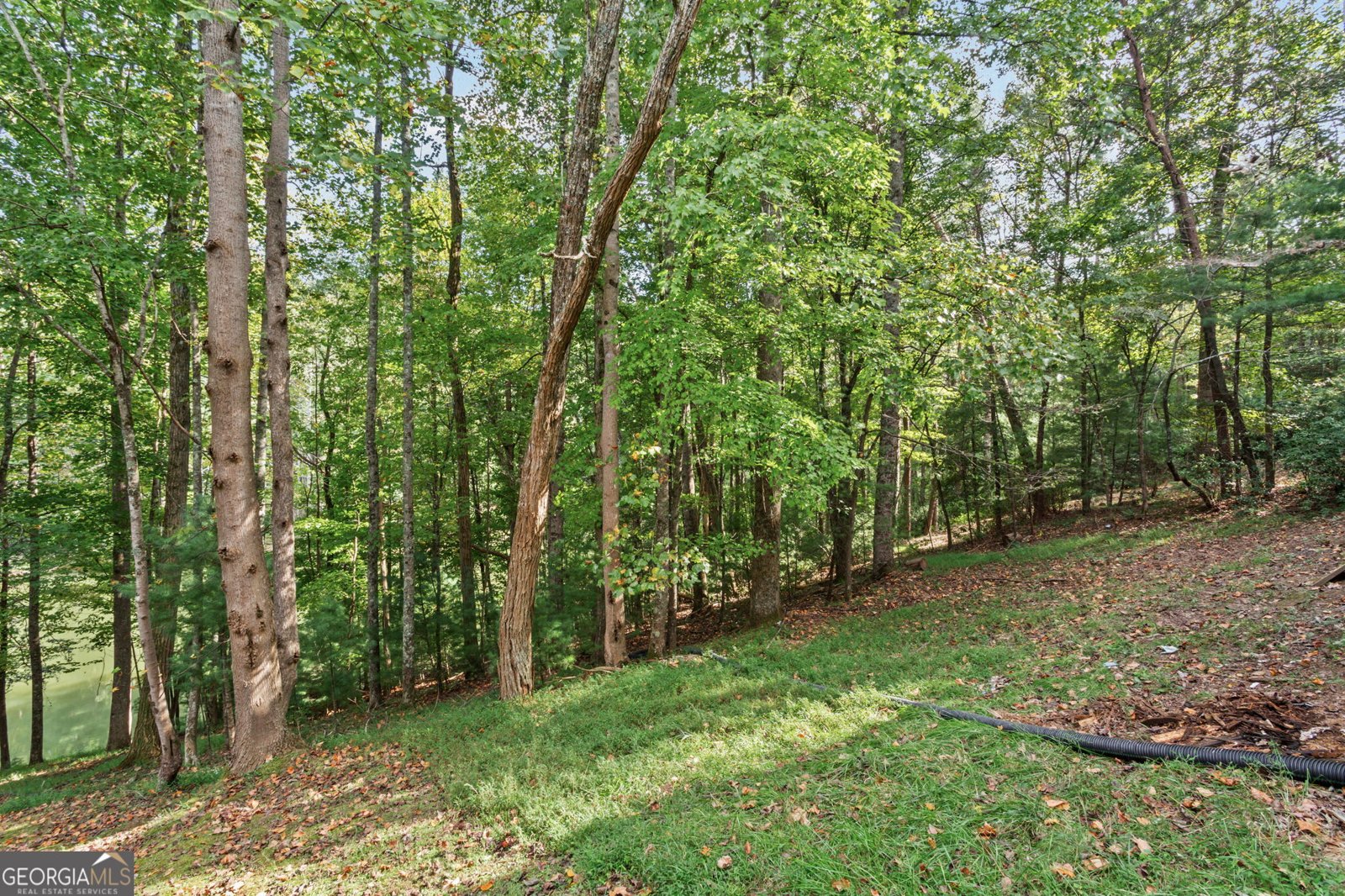 90 Clubhouse Court Ellijay - Photo 34