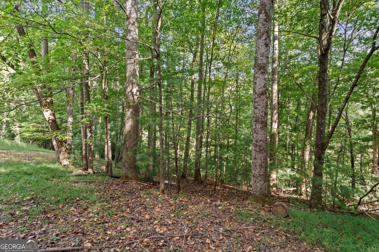 90 Clubhouse Court Ellijay - Photo 35