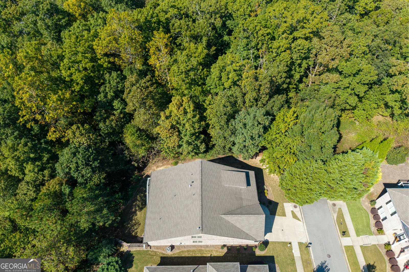 2647 Bearcreek Place Buford - Photo 61