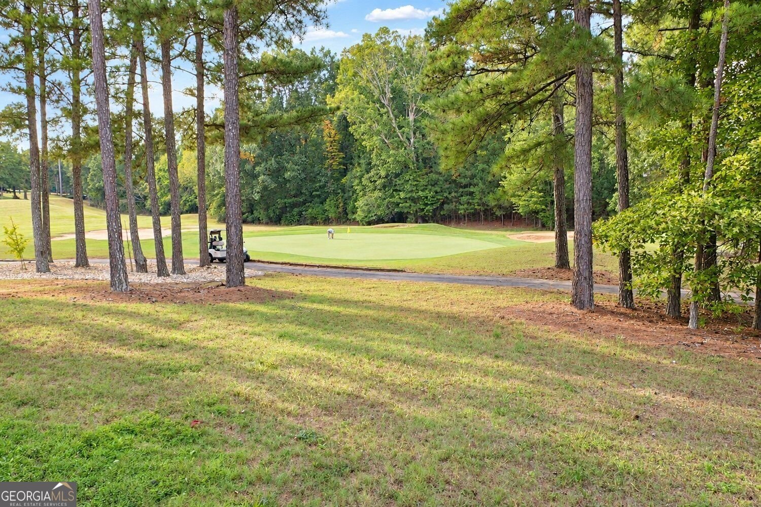 5293 Heron Bay Boulevard Locust Grove - Photo 76