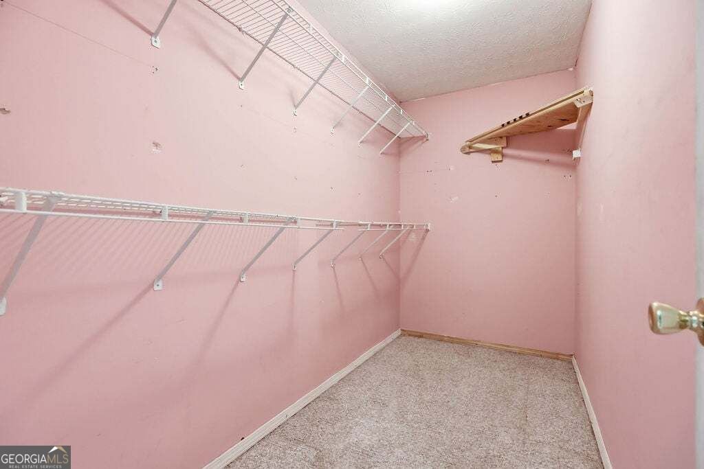 4541 New Kings Bridge Road Nicholson - Photo 15