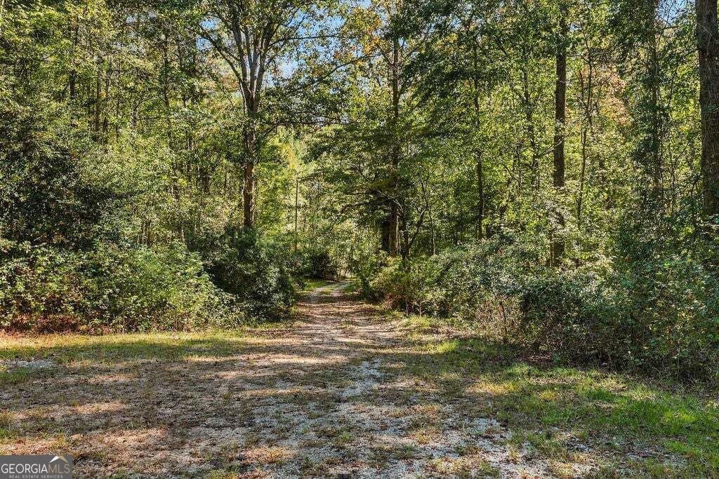 4541 New Kings Bridge Road Nicholson - Photo 28