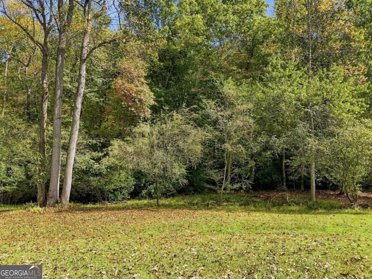 456 Nicholson Road Blue Ridge - Photo 10