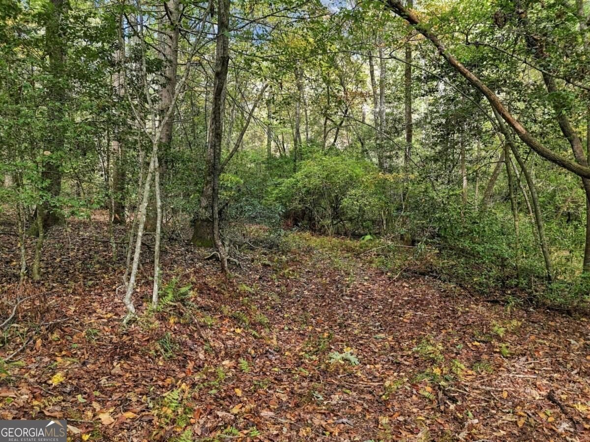 456 Nicholson Road Blue Ridge - Photo 12