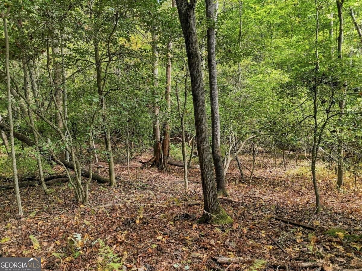 456 Nicholson Road Blue Ridge - Photo 13