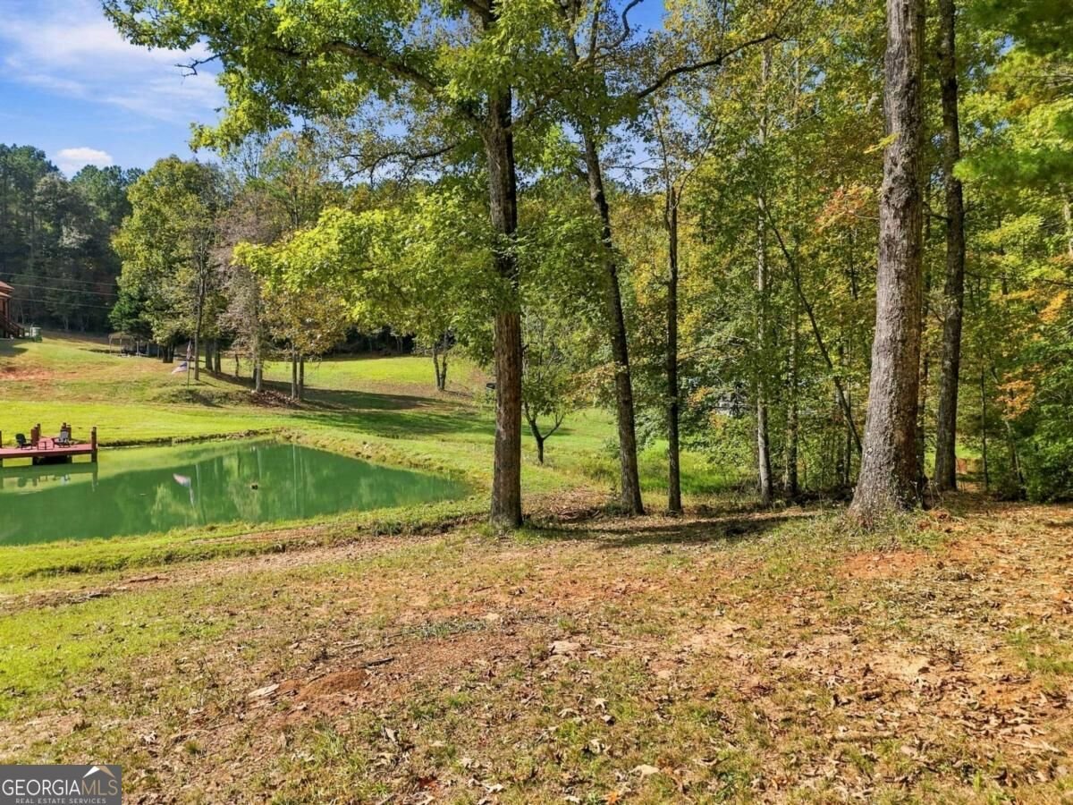 456 Nicholson Road Blue Ridge - Photo 15