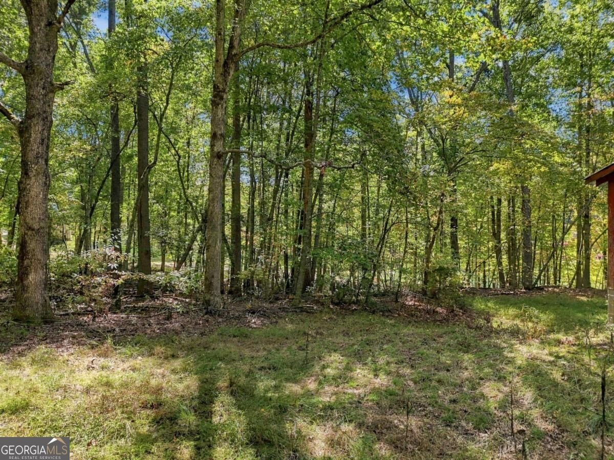 456 Nicholson Road Blue Ridge - Photo 18
