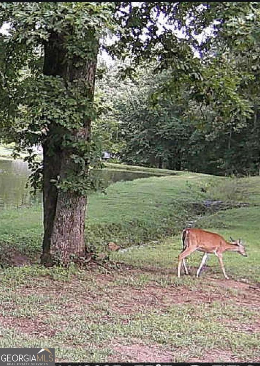 456 Nicholson Road Blue Ridge - Photo 19