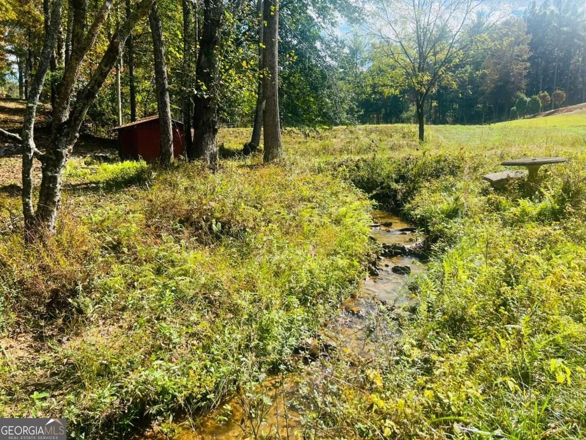 456 Nicholson Road Blue Ridge - Photo 20