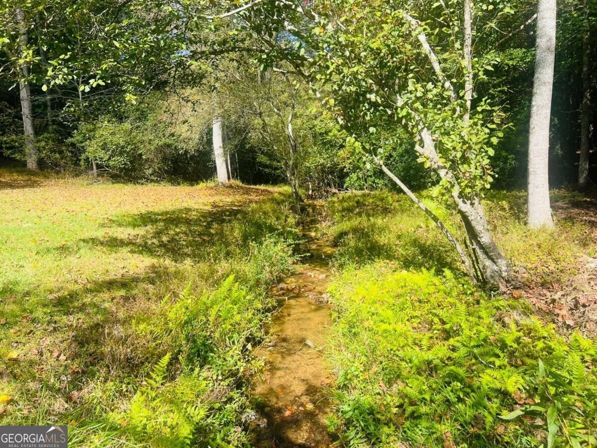 456 Nicholson Road Blue Ridge - Photo 21
