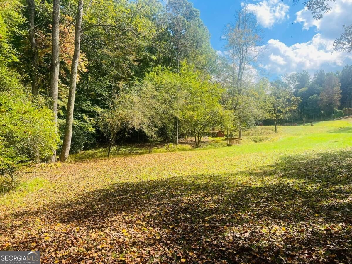 456 Nicholson Road Blue Ridge - Photo 23