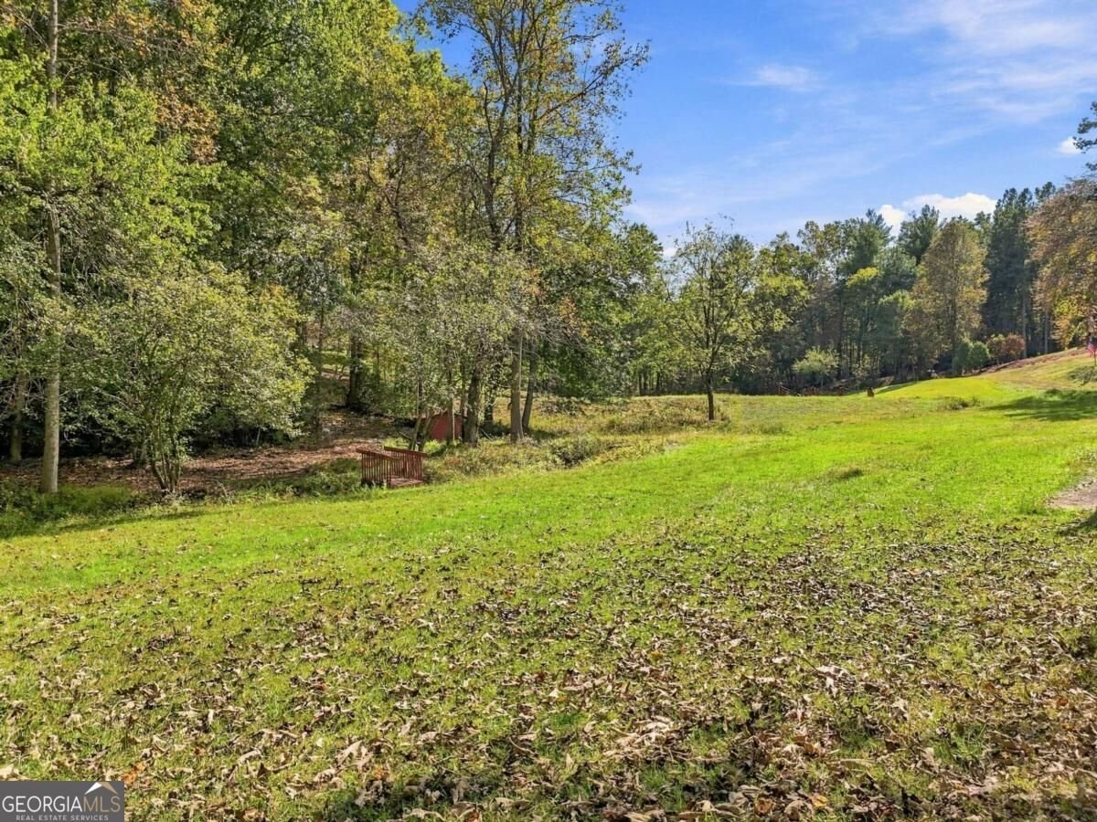 456 Nicholson Road Blue Ridge - Photo 9