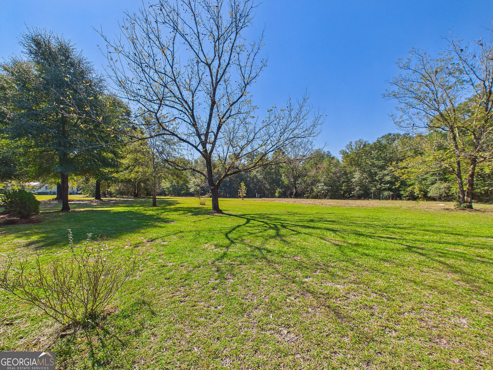232 Lovely Grove Church Road Eastman - Photo 37