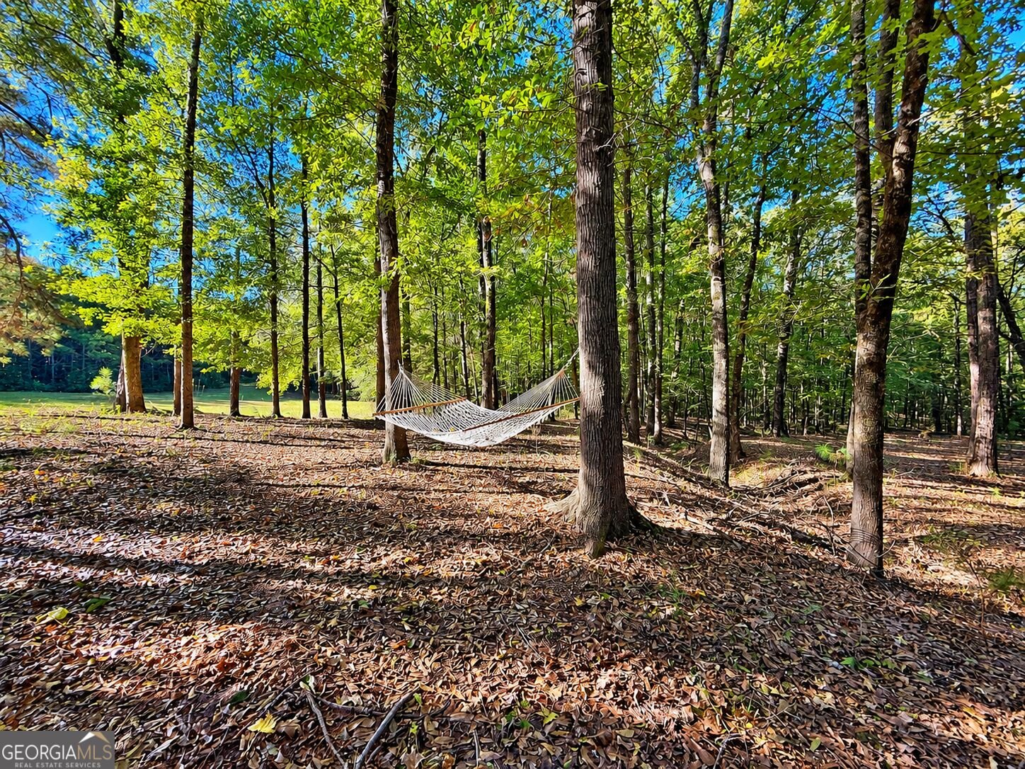 2323 Pleasant Valley Road Woodland - Photo 36