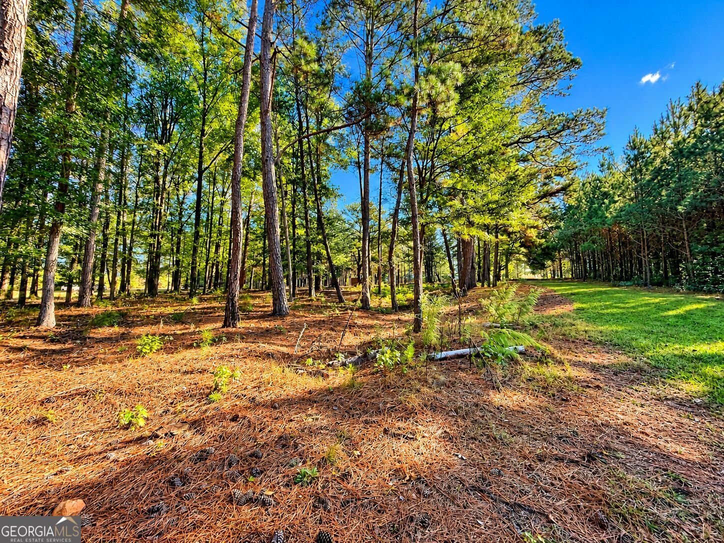 2323 Pleasant Valley Road Woodland - Photo 38