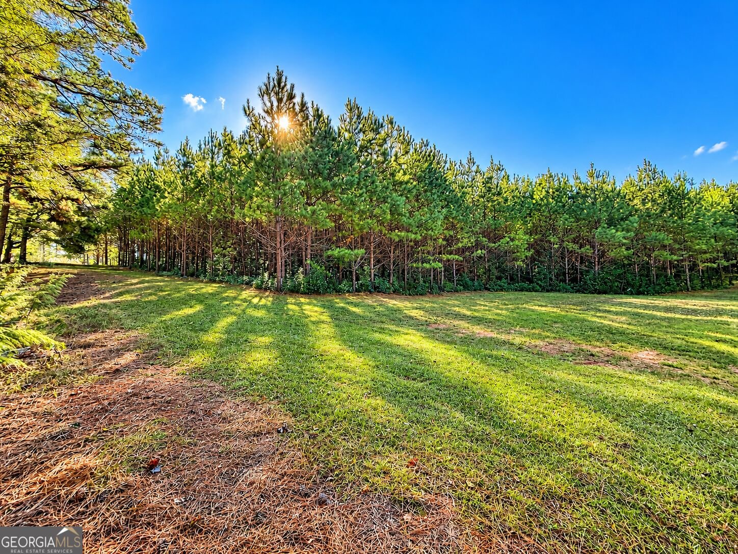 2323 Pleasant Valley Road Woodland - Photo 39