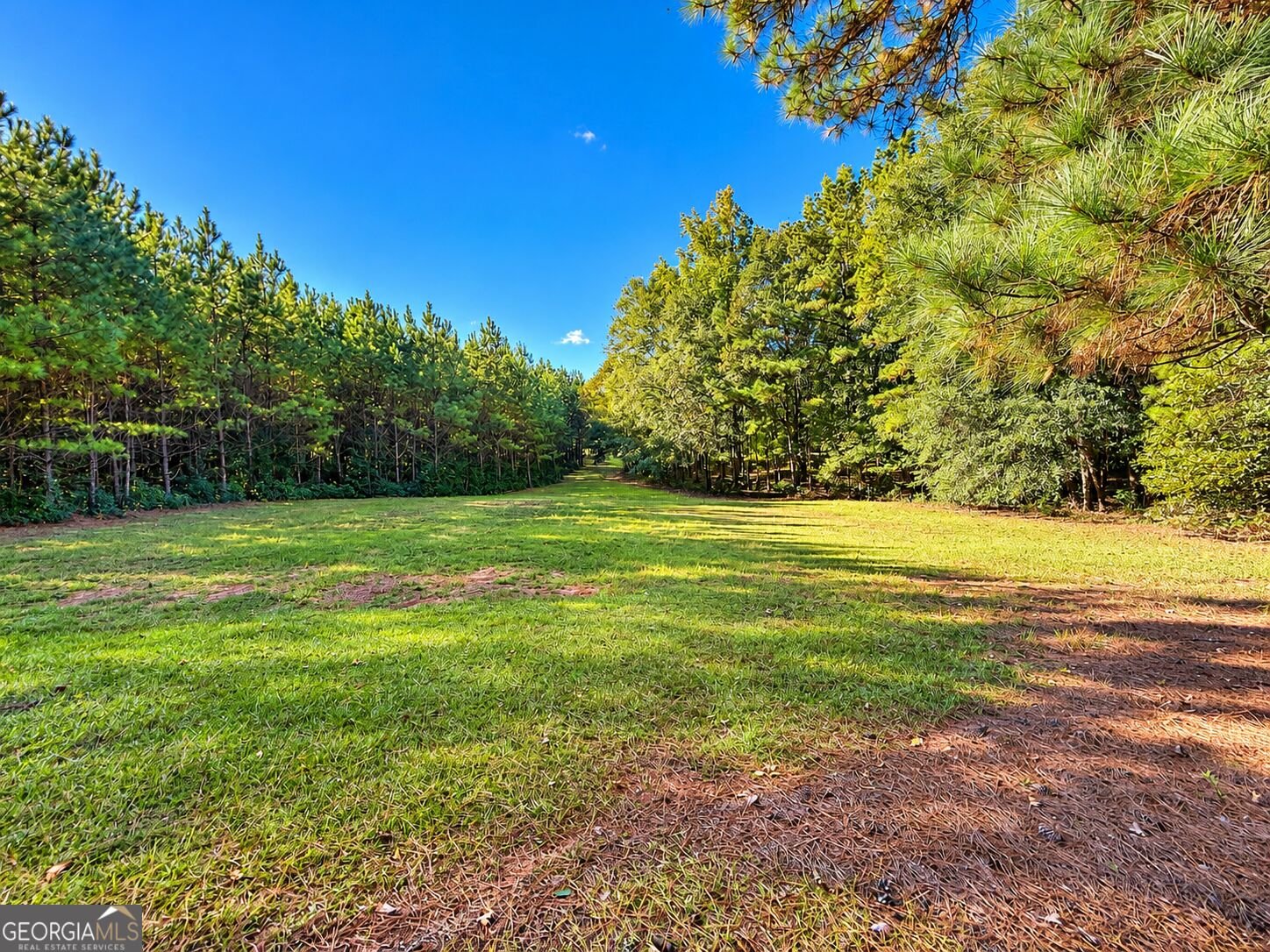 2323 Pleasant Valley Road Woodland - Photo 40